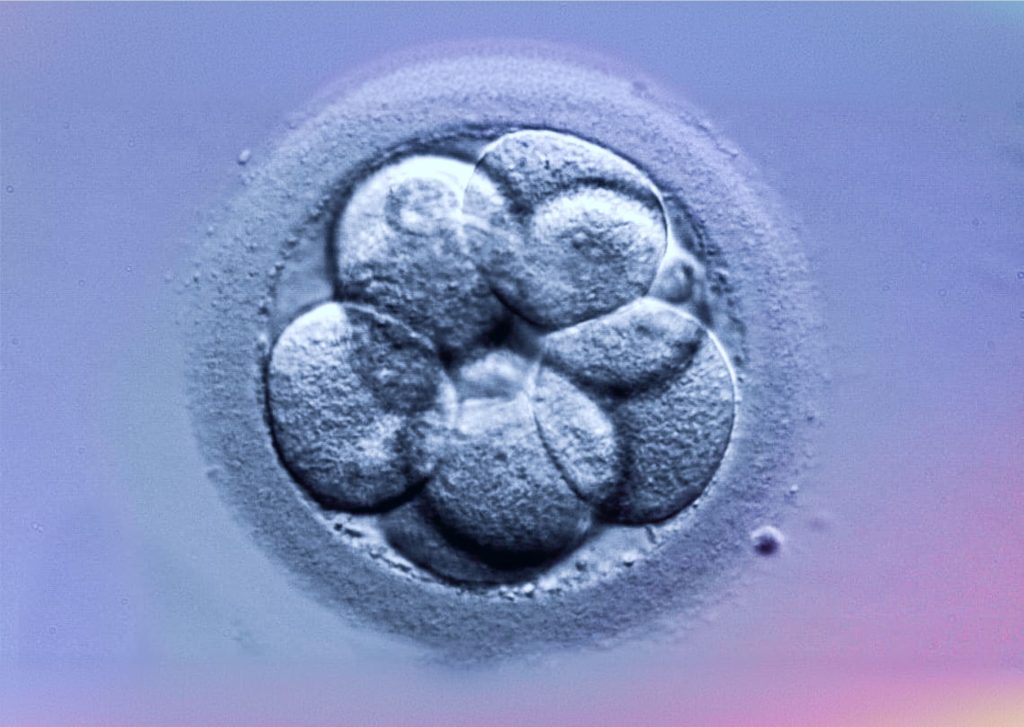 laboratorio fecundación in vitro inmater lima