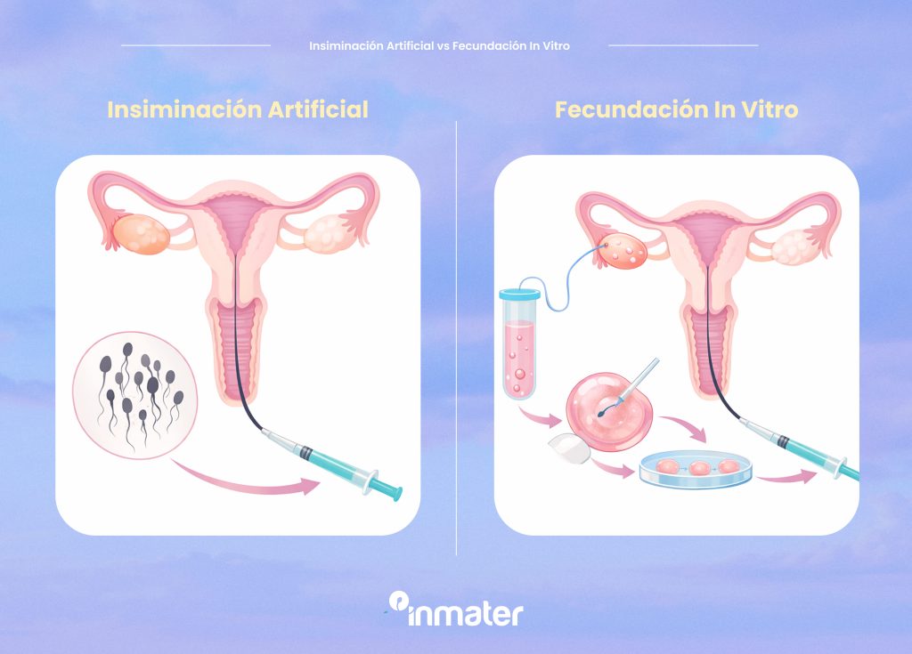 diferencia inseminacion artificial fecundacion in vitro inmater