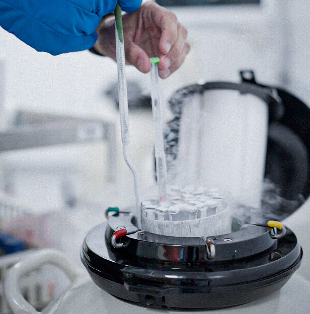 almacenamiento ovulos congelados cripreservacion inmater